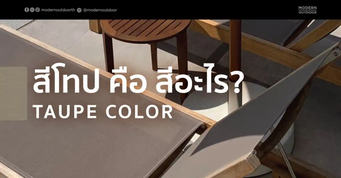 สีโทป คือสีอะไร