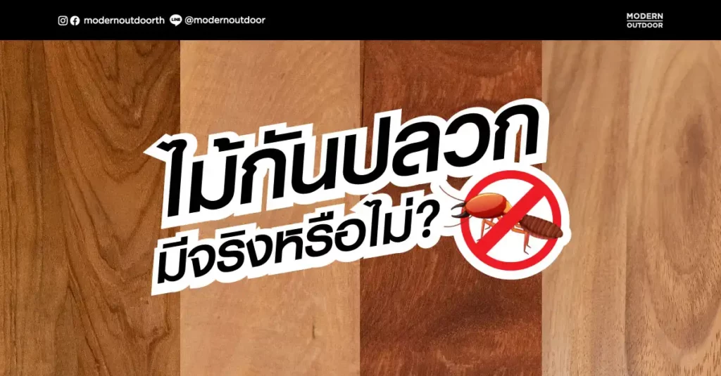 ไม้กันปลวก มีจริงหรือไม่? มาดูประเภทของไม้ที่มีคุณสมบัติกันปลวกกัน
