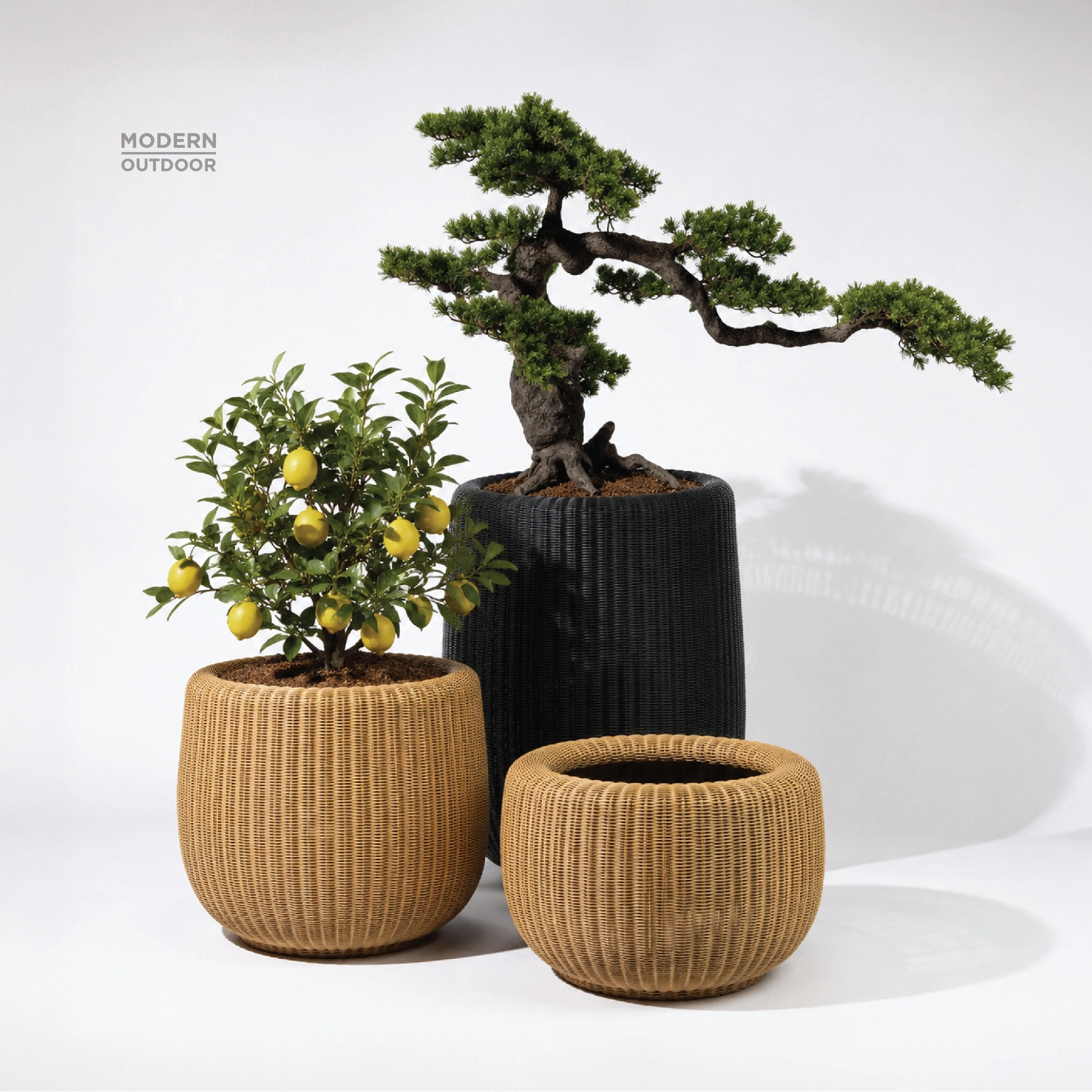 Plant Pots (S) - Image 4