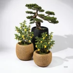 (M)FB_Jun26_PlantPots-05_0